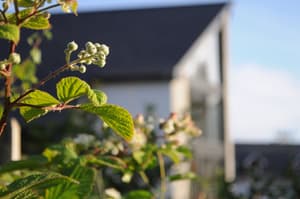 thumbnail: Front of property
