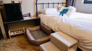 thumbnail: Room