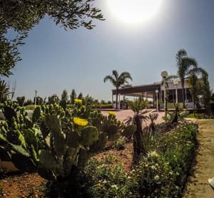 thumbnail: Garden