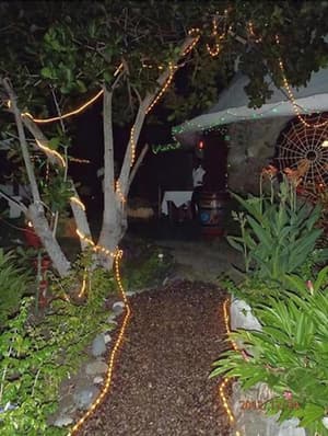 thumbnail: Garden