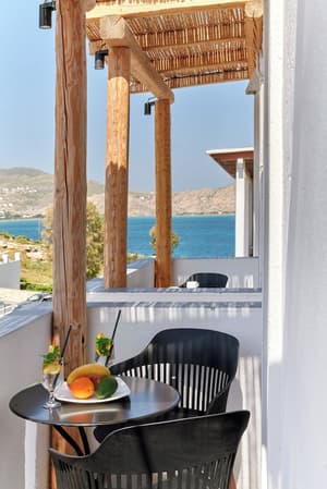 thumbnail: Terrace/patio