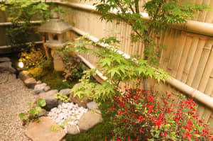 thumbnail: View from property