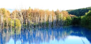 thumbnail: Snowshoeing