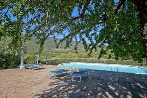 thumbnail: Outdoor pool