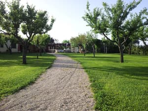 thumbnail: Garden