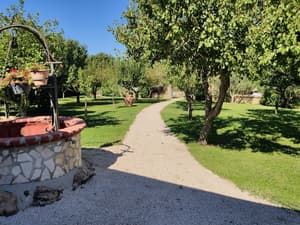 thumbnail: Garden