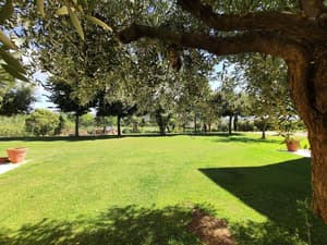 thumbnail: Garden
