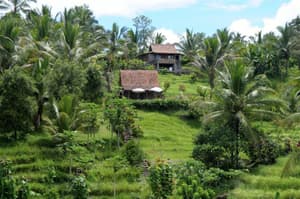 thumbnail: General view