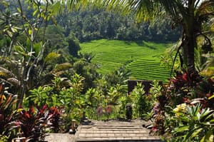 thumbnail: General view