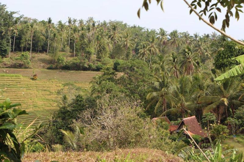 General view