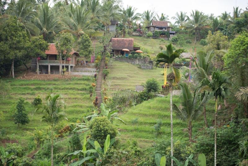 General view