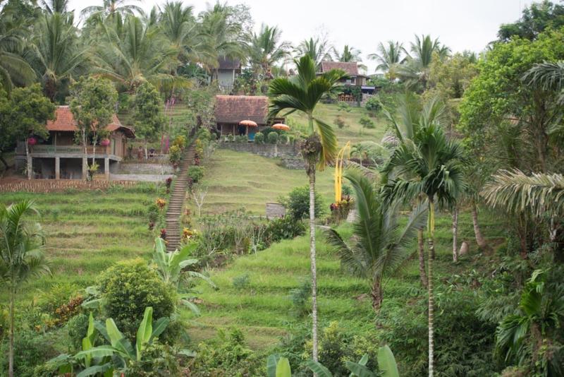 General view