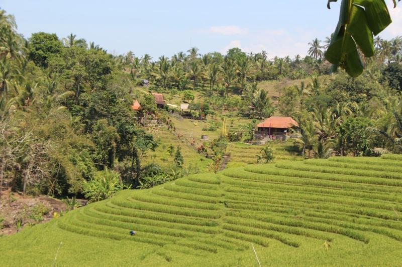 General view