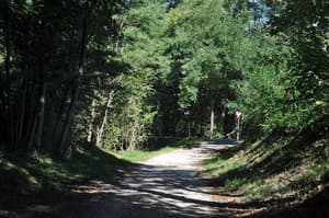 thumbnail: Property grounds