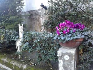 thumbnail: General view