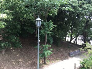 thumbnail: View from room
