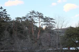 thumbnail: Property grounds