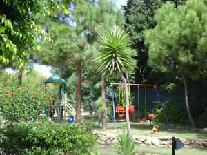 thumbnail: Garden