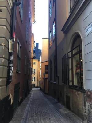 thumbnail: General view
