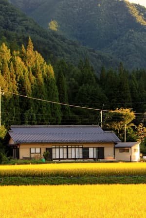 thumbnail: Exterior