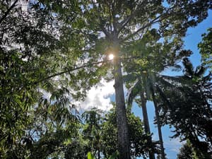 thumbnail: Property grounds