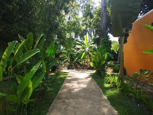 thumbnail: Property grounds