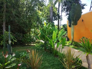 thumbnail: Property grounds