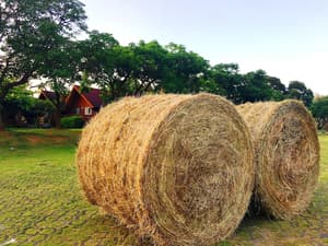 thumbnail: View from property