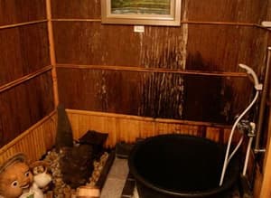 thumbnail: Interior