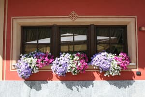 thumbnail: Exterior detail