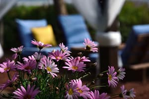 thumbnail: BBQ/picnic area