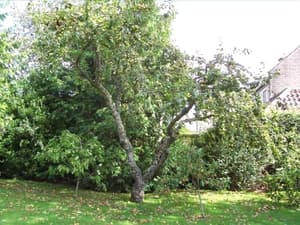 thumbnail: General view