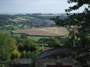 thumbnail: General view