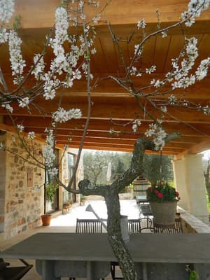 thumbnail: Outdoor dining