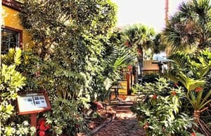 thumbnail: Garden