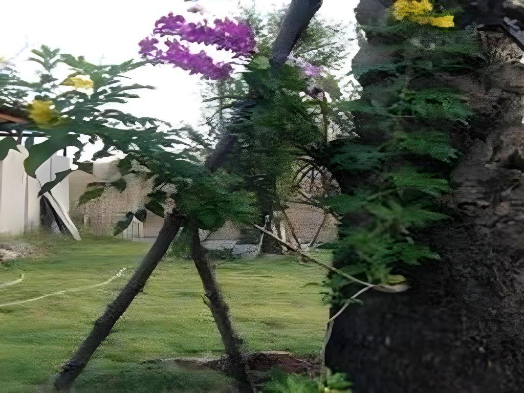 58cdfe125ae12941cee808a7586a4878.jpeg