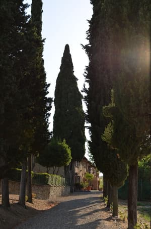 thumbnail: Property grounds