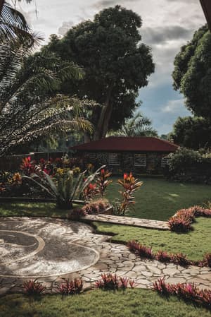 thumbnail: Garden