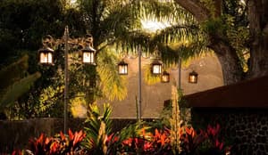 thumbnail: Garden