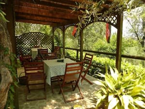 thumbnail: Terrace/patio