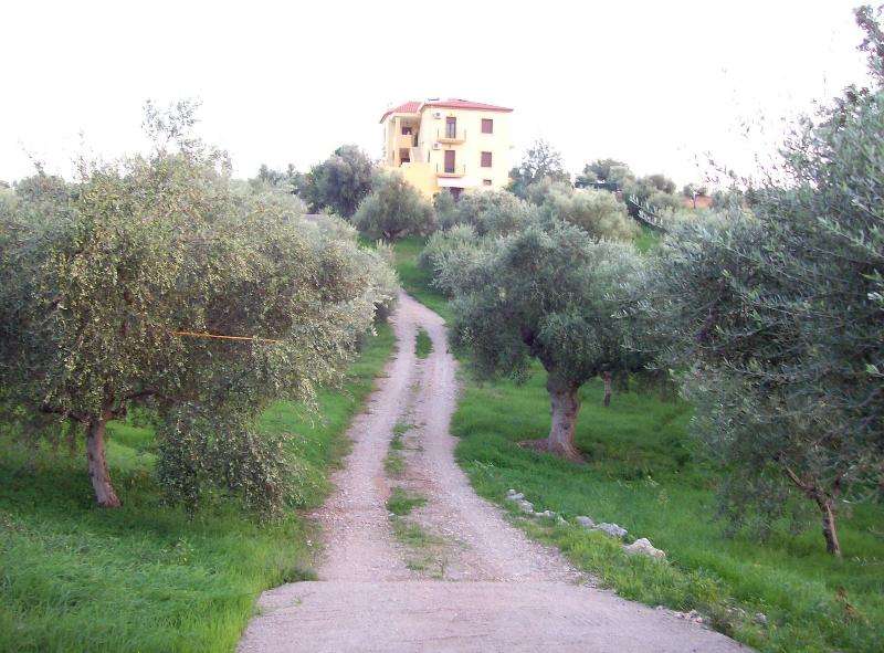 General view