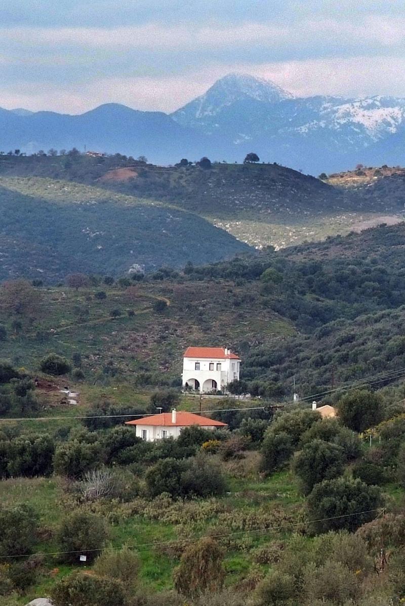 General view