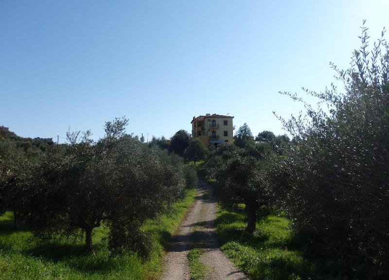 General view