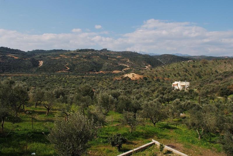 General view