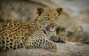 thumbnail: Game drive