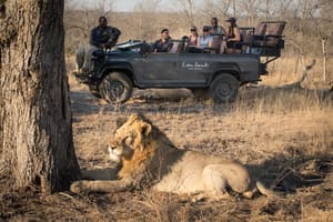 thumbnail: Game drive