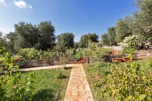 thumbnail: Garden