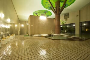 thumbnail: Public bath
