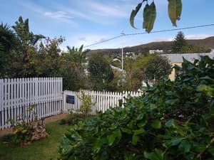 thumbnail: General view