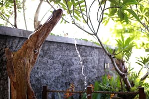 thumbnail: Exterior detail